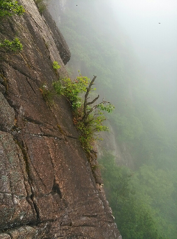 雨中的黄岩大寺基悬崖栈道