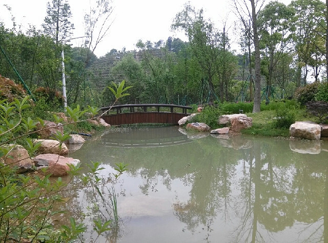 隨手拍台州好山好水好風光路橋中央山公園