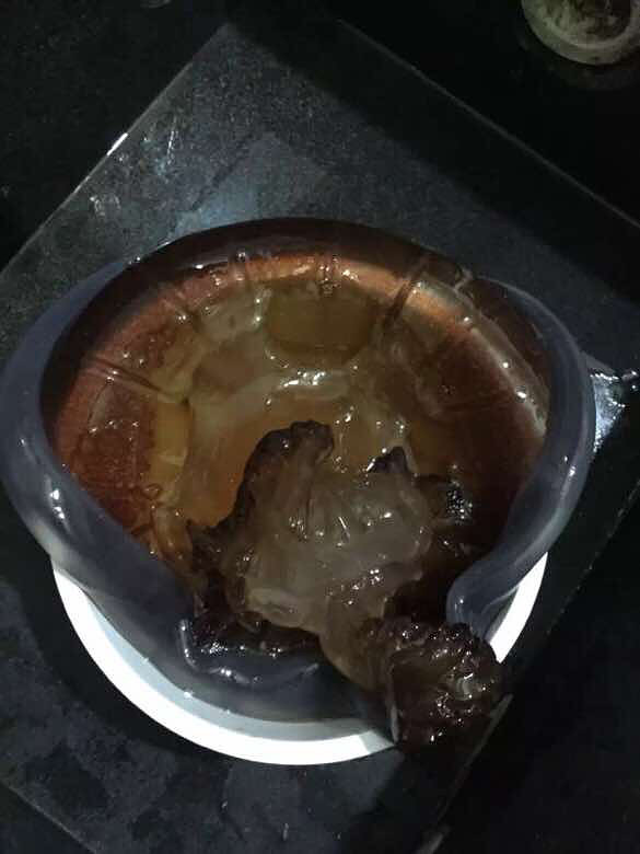 台州沿海的小伙伴们看过活的海蜇尚鱼吗