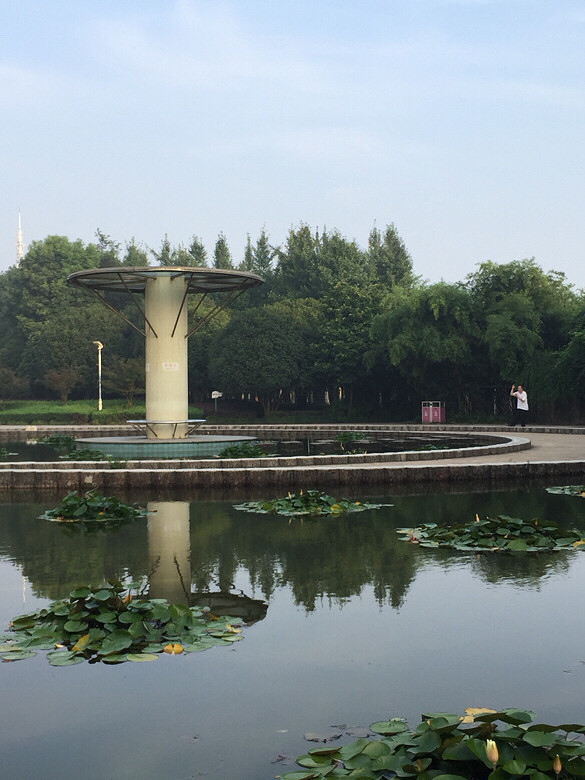 随手拍好山好水好风光椒江江滨公园一角