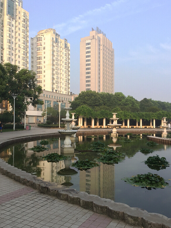 随手拍好山好水好风光椒江江滨公园一角