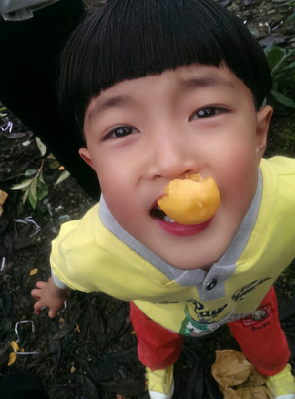 你们都是怎么教学龄前小朋友学数学的,难道掰