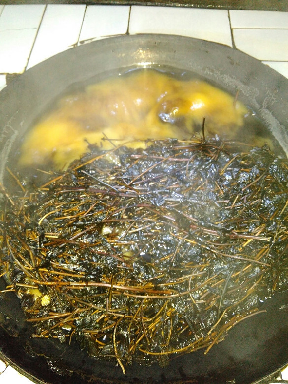 【回帖有奖】晒晒青草糊,立秋了大家一起来"咬秋"