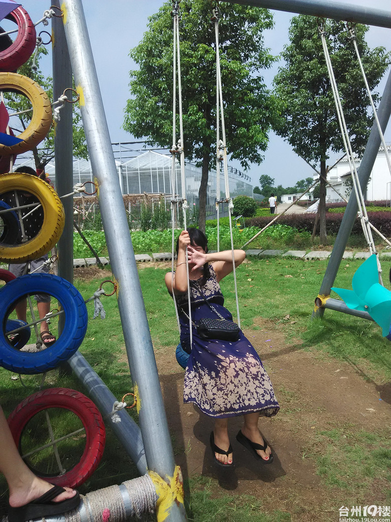 三门农博园游玩归来 邀约出游 台州旅游 台州19楼