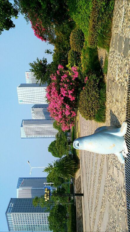 台州市民广场真好玩广场西部高楼林立繁