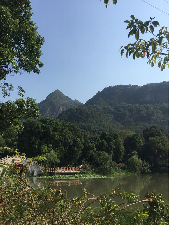 金秋賞玩季黃岩九峰公園