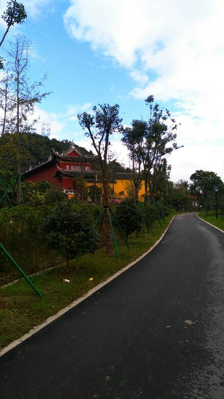 中央山公園環山綠道.-攝影部落-台州19樓