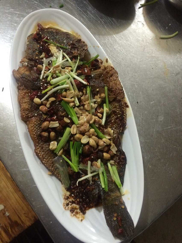 将臣财鱼小财鱼一条一斤左右先将财鱼