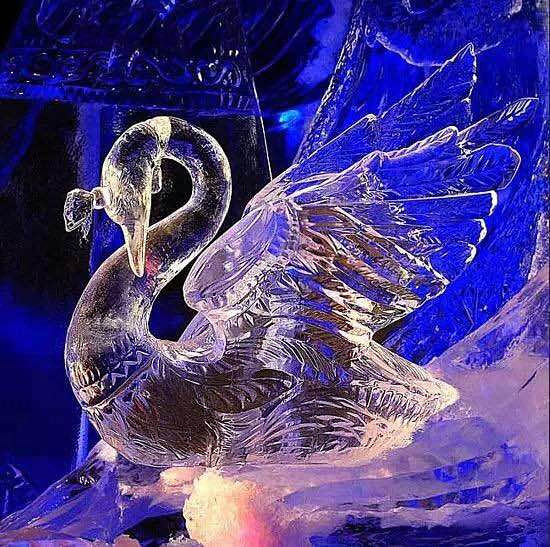 市体育中心春节有冰雕展 市民可尽情体验冰雪艺术魅力