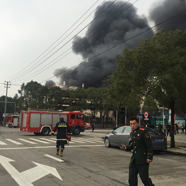 城门失火殃及池鱼!