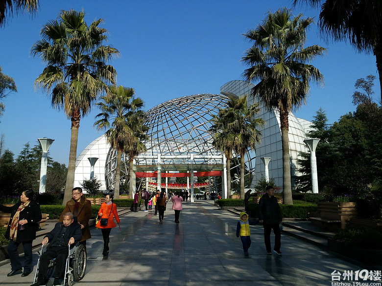 猴年新春休闲篇之二,温岭石夫人