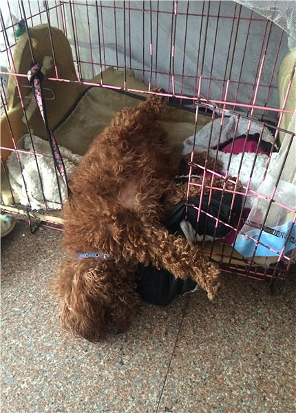 �м�������˯���ġ������𣿲�㱻����~��