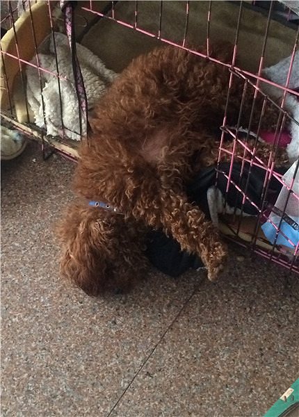 �м�������˯���ġ������𣿲�㱻����~��