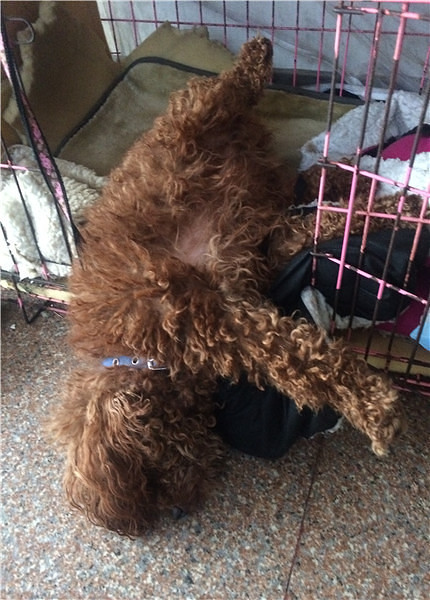 �м�������˯���ġ������𣿲�㱻����~��