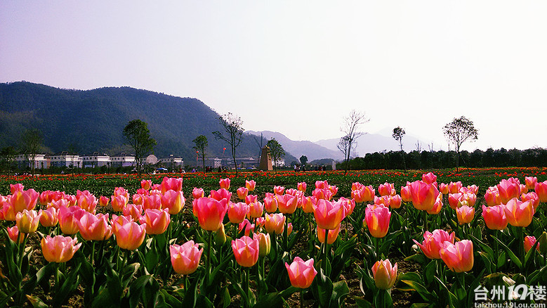 临海上江村百花园票价图片