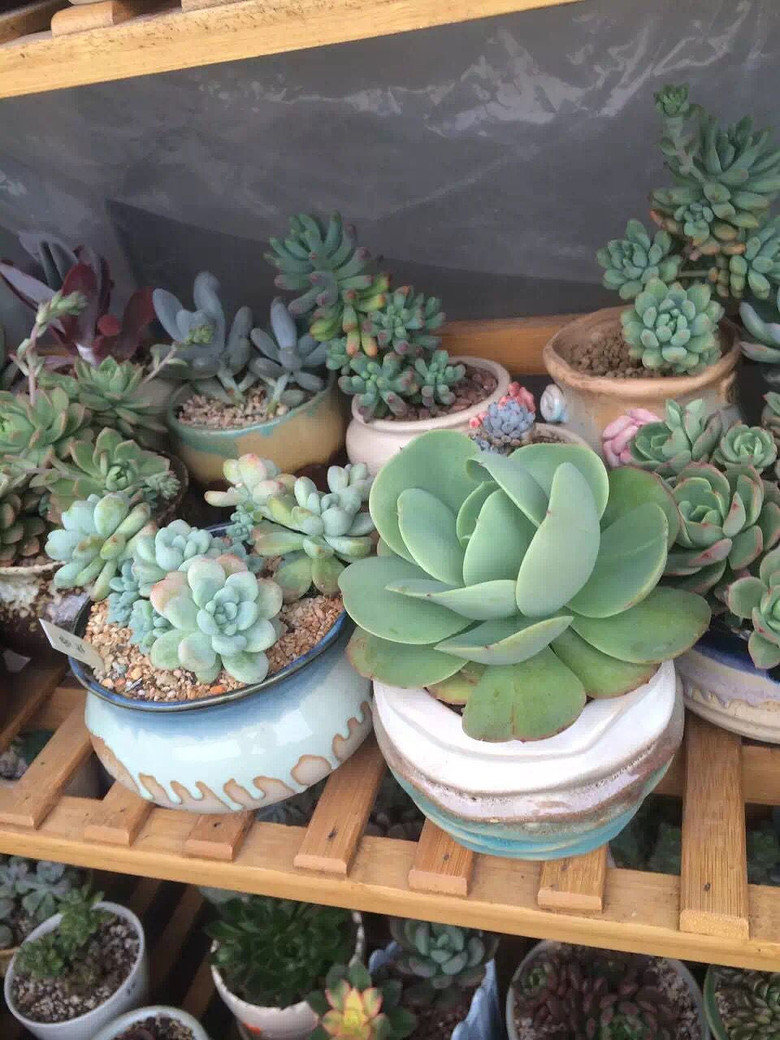 ���������Ȧ��һ����+����Ҳ���