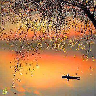 喜欢那句惟愿现世安稳岁月静好每每