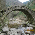 探访大雷山北麓的村庄：潘岙杨、捣臼孔、雷音寺、雪上村