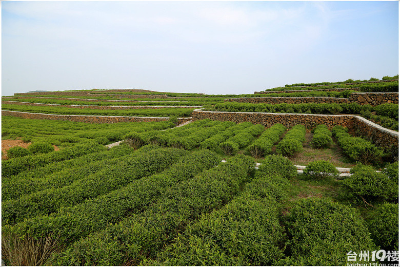 五一节闲游涌泉兰田山风光