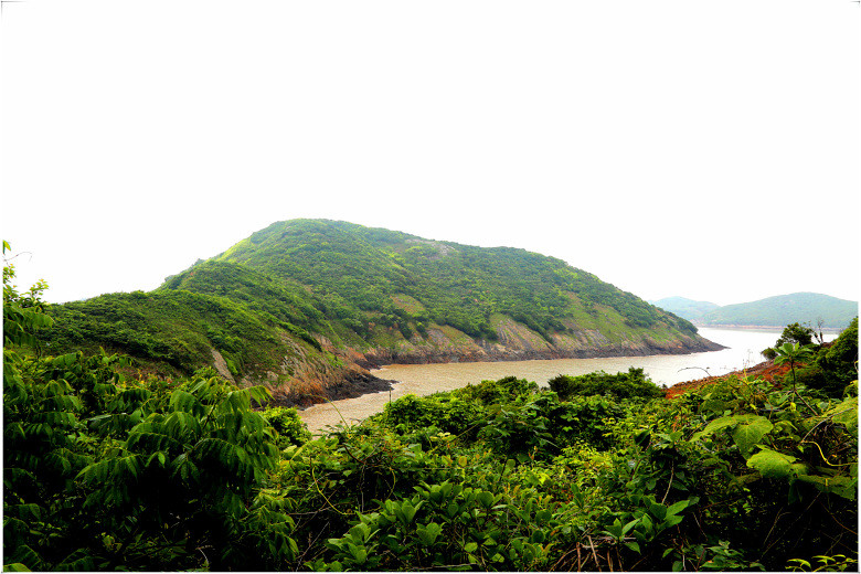 雨游临海头门岛----雀儿岙村