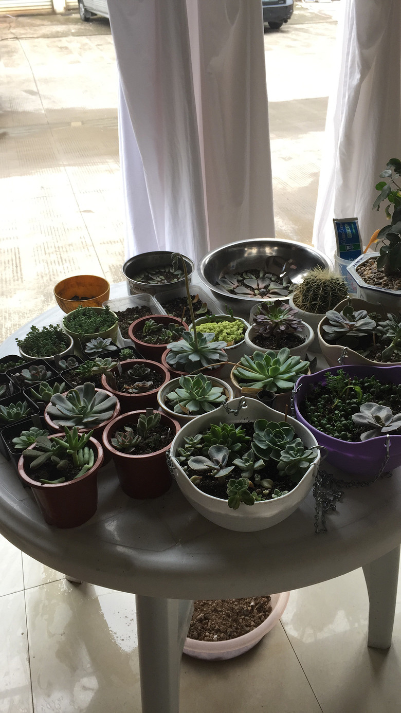 Ư�����������