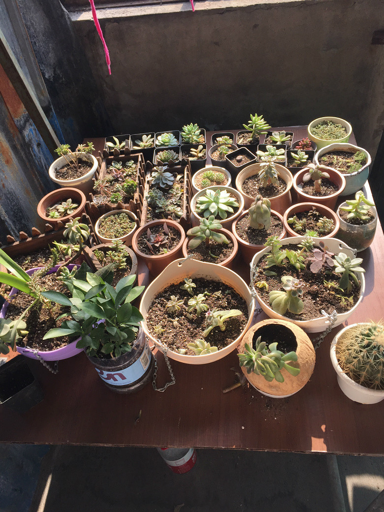 Ư�����������