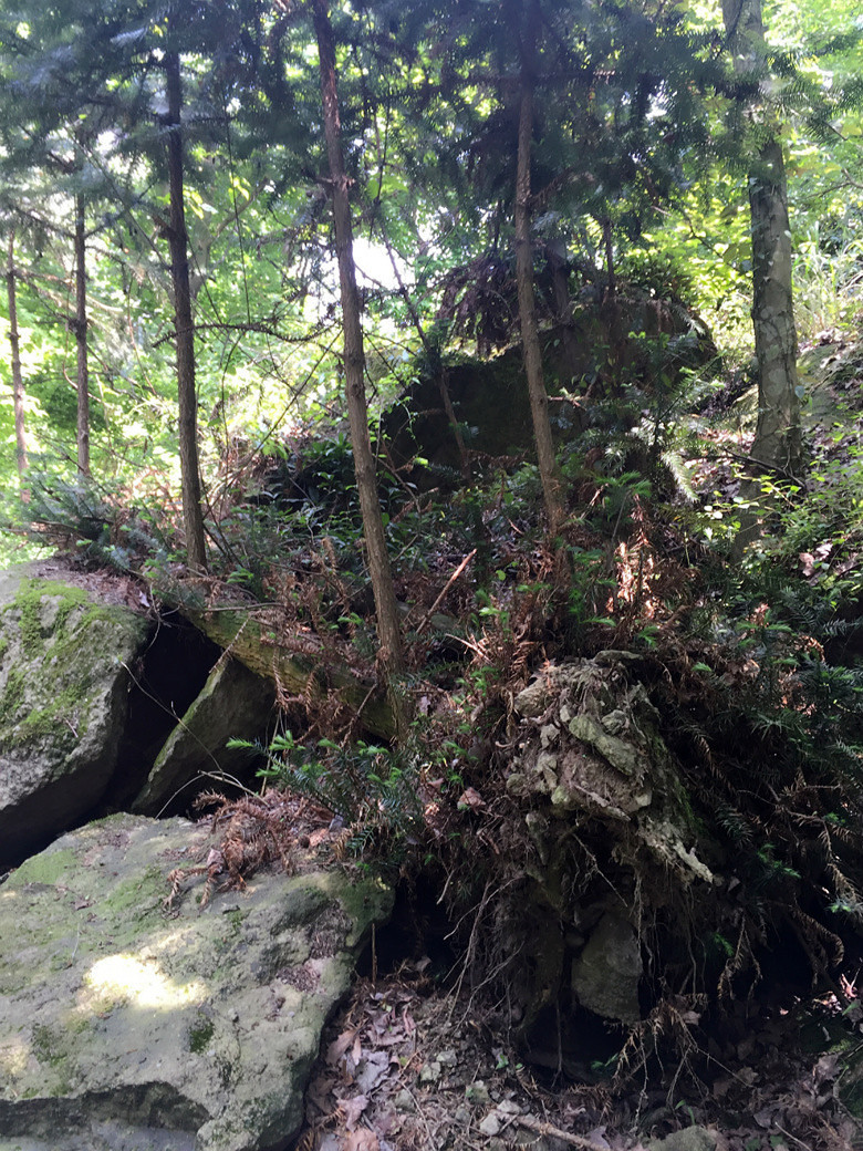 ������˼�ǿ