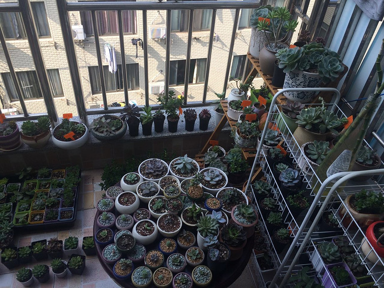 �Ҽҵ�����