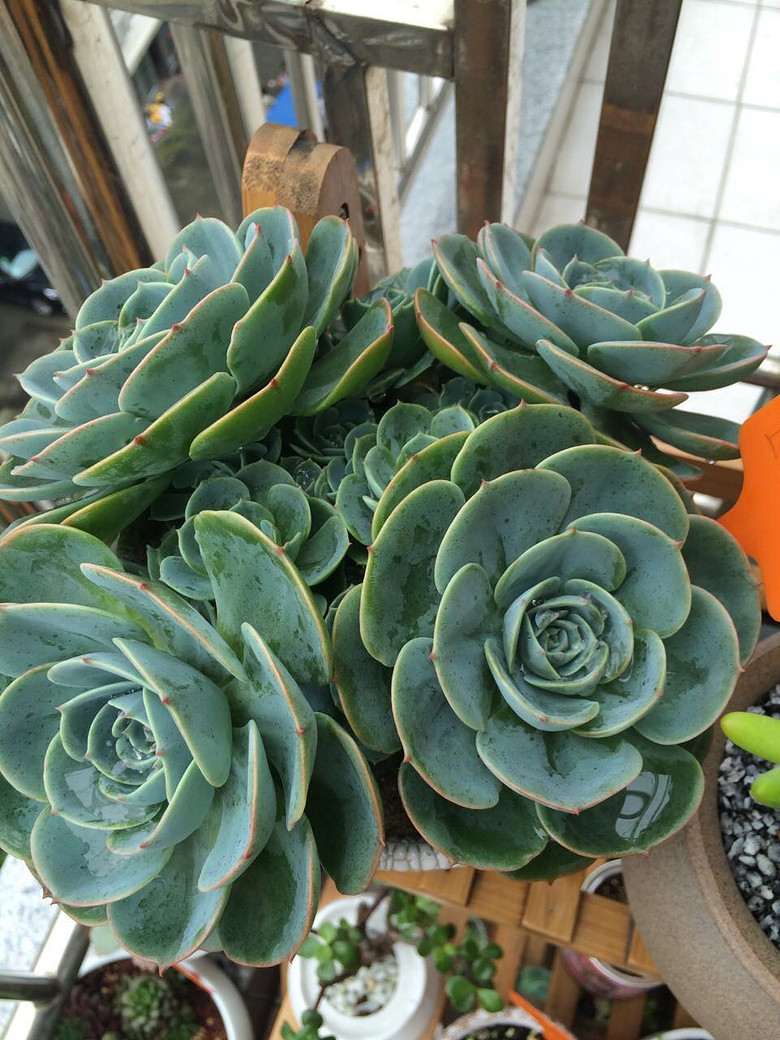 �Ҽҵ�����