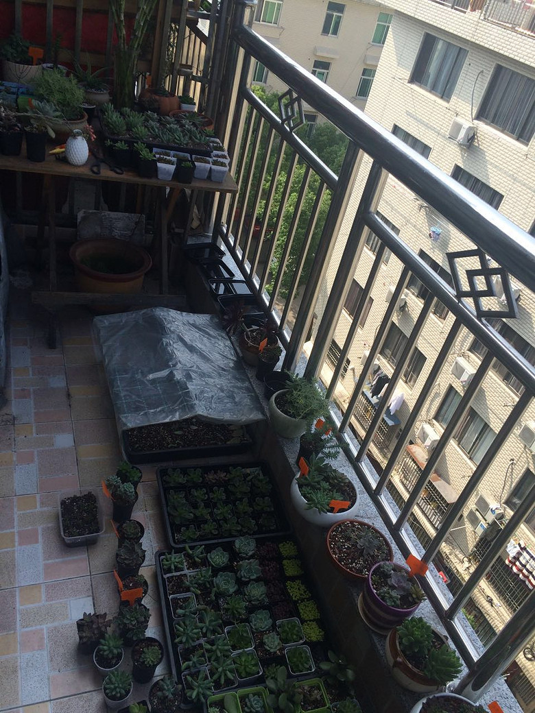 �Ҽҵ�����