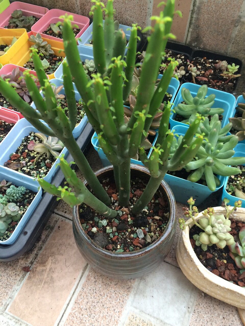 �Ҽҵ�����