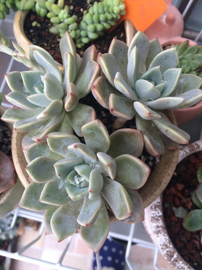 �Ҽҵ�����