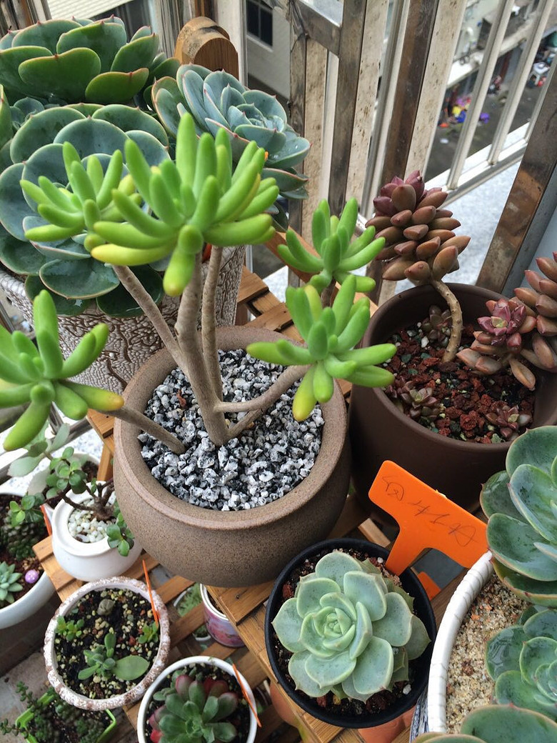 �Ҽҵ�����