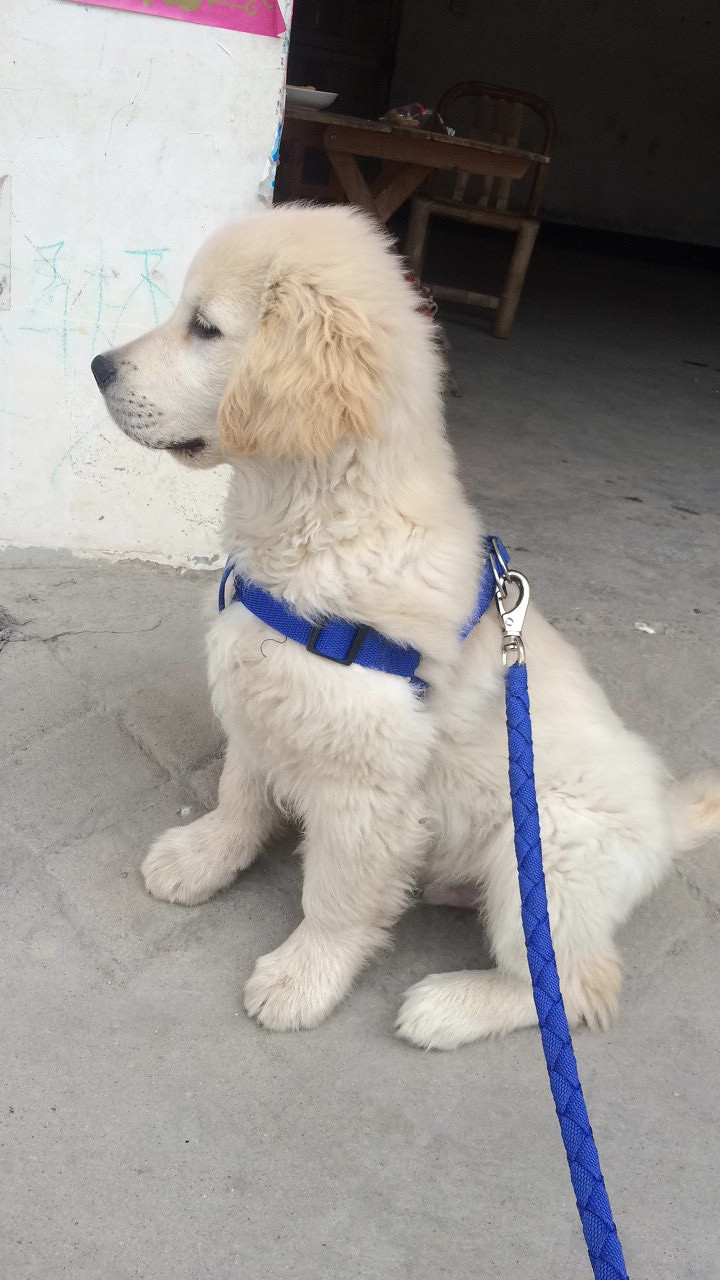 ���ȳ�������Ҽ�˧����â����