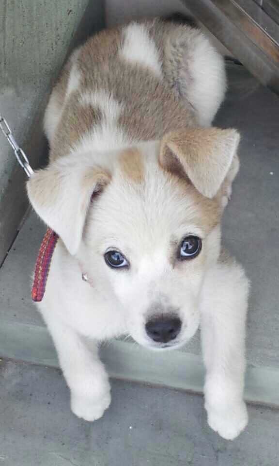 ���ȳ������+���䲻����Ȯ������Ҳ����