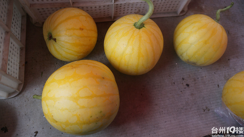 外面芒芒是南瓜劈开里面是西瓜