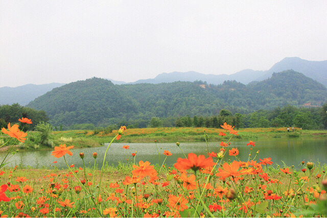那山那水那花那片湿地