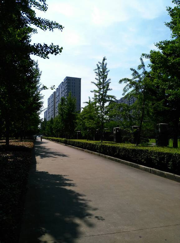 夏日中的永安广场