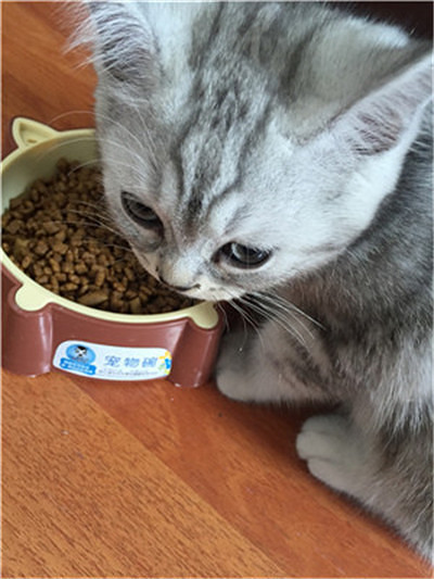 ��ӭ�����ѵĵ���