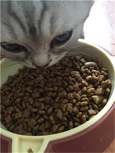 ��ӭ�����ѵĵ���