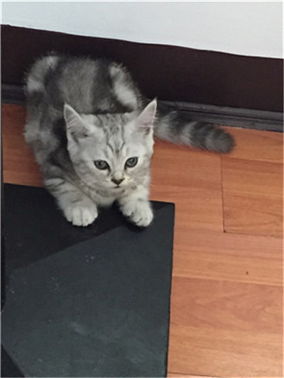 ��ӭ�����ѵĵ���