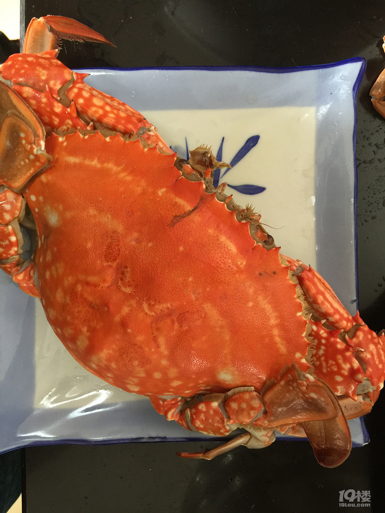 属于我们浙江的小希腊--舟山枸杞岛-游记攻略-