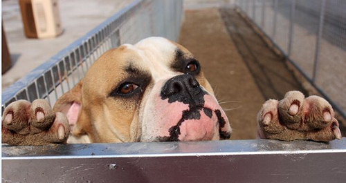 #�ȳ����#+�����Ҽ���ǫ̈̄�����Ĵ����