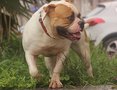 #�ȳ����#+�����Ҽ���ǫ̈̄�����Ĵ����