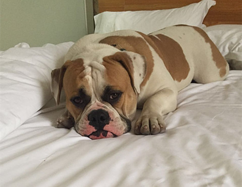 #�ȳ����#+�����Ҽ���ǫ̈̄�����Ĵ����