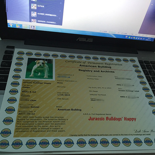 #�ȳ����#+�����Ҽ���ǫ̈̄�����Ĵ����