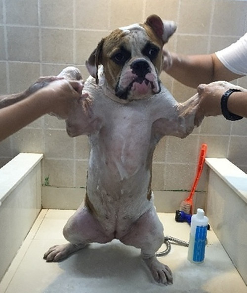 #�ȳ����#+�����Ҽ���ǫ̈̄�����Ĵ����