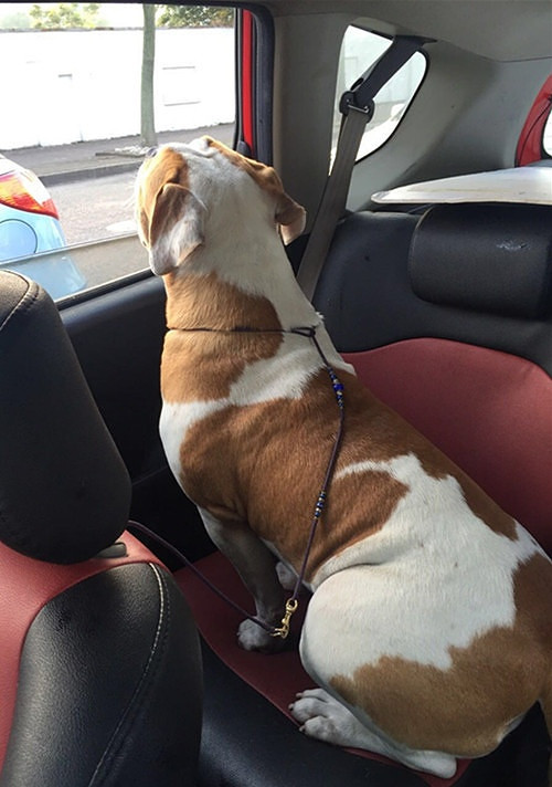 #�ȳ����#+�����Ҽ���ǫ̈̄�����Ĵ����