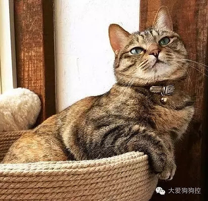 ���С������õ�Ҫ������װ