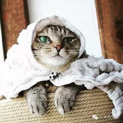 ���С������õ�Ҫ������װ